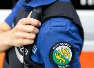 Two Injured and Seven Arrested After Brawl in Sirnach, Switzerland news-11082024-015018