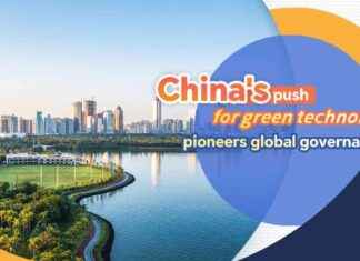 China Leads Global Governance with Green Technology Innovation news-12082024-115131