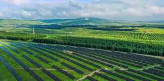 China’s Green Transition Guidelines in Response to Global Energy Challenges news-13082024-180935