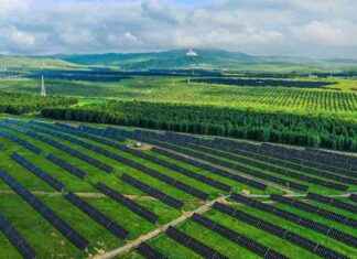 China’s Green Transition Guidelines in Response to Global Energy Challenges news-13082024-180935