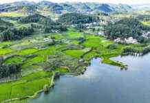 Key Tasks for Ecological Conservation in China: A Comprehensive Overview news-16082024-000909