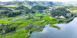 Key Tasks for Ecological Conservation in China: A Comprehensive Overview news-16082024-000909