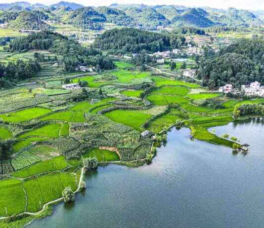 Key Tasks for Ecological Conservation in China: A Comprehensive Overview news-16082024-000909