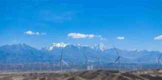 Xinjiang New Energy Leads the Way in First Half of 2021 news-16082024-061117
