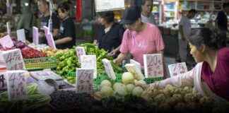 Extreme Weather Impact on Food Prices in China: A Comprehensive Analysis news-21082024-171719