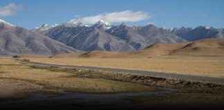 Qinghai-Xizang Plateau Transformation: From Plateau to Grassland news-25082024-003910