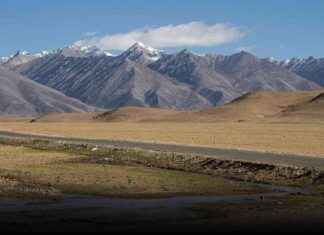 Qinghai-Xizang Plateau Transformation: From Plateau to Grassland news-25082024-003910