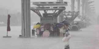 Emergency Response: Level-IV Flood Alert in Northern China news-26082024-004049