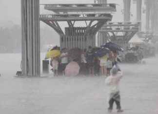 Emergency Response: Level-IV Flood Alert in Northern China news-26082024-004049