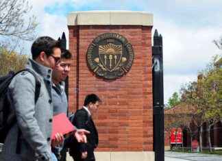 Choosing Between Staying in the U.S. or Returning to China: A Guide news-27082024-124950