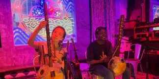 Exploring the Musical Exchange Between China and Africa: Kora and Kamale Ngoni Instruments news-28082024-130630