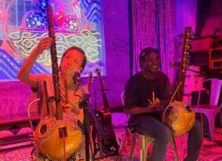 Exploring the Musical Exchange Between China and Africa: Kora and Kamale Ngoni Instruments news-28082024-130630