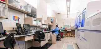 Analyzing Changes Made by Global Times in Translating My Op-Ed news-29082024-011657