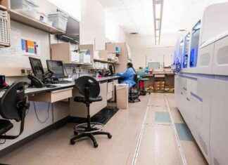 Analyzing Changes Made by Global Times in Translating My Op-Ed news-29082024-011657