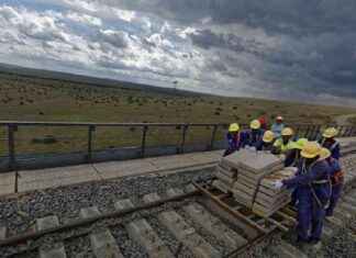 China-Africa Cooperation in Belt and Road Initiative Celebrated news-29082024-132154