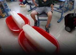 Extreme Heat in China Disrupts School Year Start news-10092024-021635