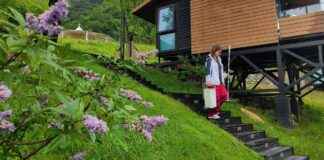 Embracing Rural Roots: Gen Z Interns Thrive in the Countryside news-10092024-074207