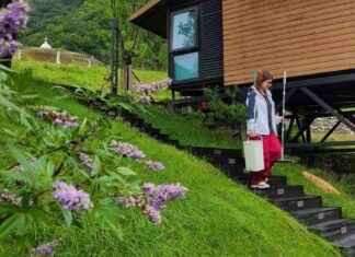 Embracing Rural Roots: Gen Z Interns Thrive in the Countryside news-10092024-074207