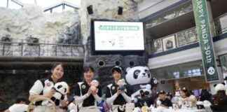 Celebrating 30 Years of China-Japan Panda Breeding Collaboration news-10092024-130713