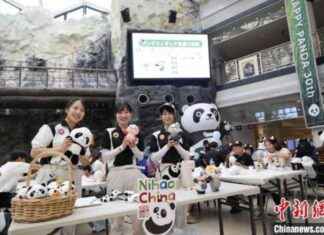 Celebrating 30 Years of China-Japan Panda Breeding Collaboration news-10092024-130713