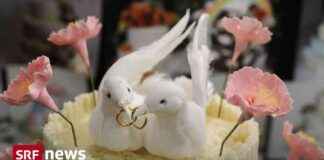 Abolish Marriage Penalty: Analysis of Parliamentary Debate news-26092024-015159