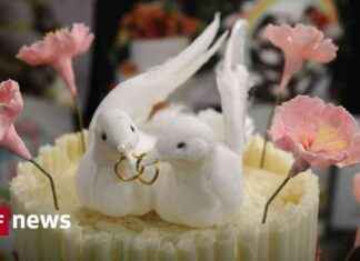 Abolish Marriage Penalty: Analysis of Parliamentary Debate news-26092024-015159