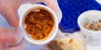 Ready-to-Eat Meals Linked to Increased Microplastic Levels in Body news-26092024-060306