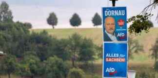 Are Political Prisoners Being Exploited as Laborers? AfD Politician Collaborates with Authorities in Belarus news-27092024-092926