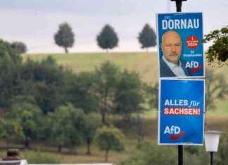 Are Political Prisoners Being Exploited as Laborers? AfD Politician Collaborates with Authorities in Belarus news-27092024-092926