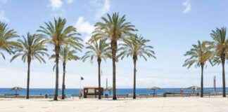 Nürnberg Airport unveils new winter travel destination news-30092024-232900