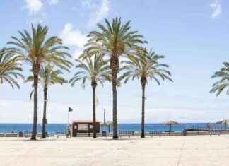 Nürnberg Airport unveils new winter travel destination news-30092024-232900