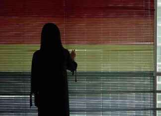 Transformative Impact of Crackdown on LGBTQ Activism in China news-04102024-001551