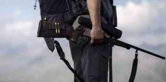 Hunters in Grisons shoot wolves for the first time during high hunt | Trade Journal news-05102024-220857