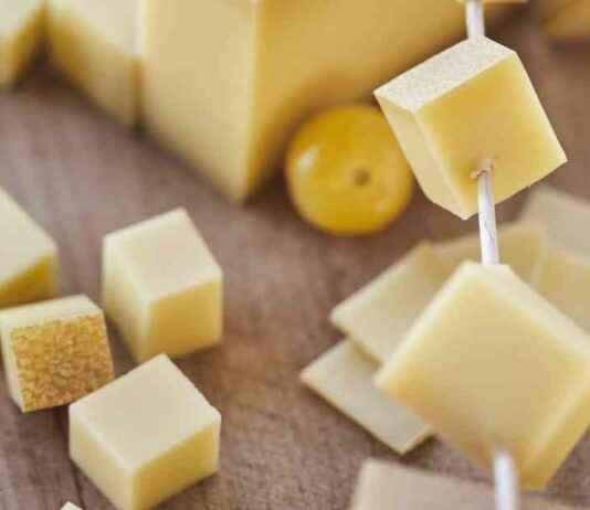 Four Cheesemakers from Bernese Jura Miss Out on Swiss Champion Title in Lugano news-06102024-101619