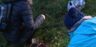 2024: Année à Champignons avec Beaucoup d’Humidité et Peu de Froid news-12102024-115559