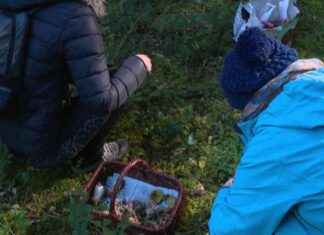 2024: Année à Champignons avec Beaucoup d’Humidité et Peu de Froid news-12102024-115559