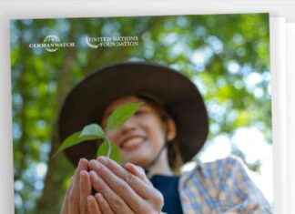 Adaptation Finance Sources: A Guide for NCQG Members news-14102024-022727