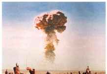 Blooming Malan: Discovering the Beauty and Significance news-17102024-035343