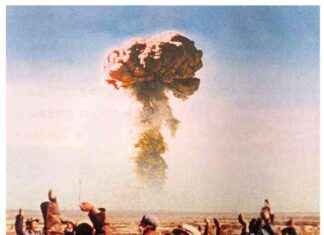 Blooming Malan: Discovering the Beauty and Significance news-17102024-035343