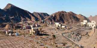 Strategic Management of Business Transfers news-20102024-230800