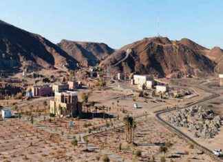 Strategic Management of Business Transfers news-20102024-230800