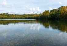 Less Than One-Tenth of Rivers and Lakes in NRW in Good Condition: A Concerning Trend news-22102024-052304