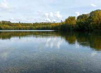 Less Than One-Tenth of Rivers and Lakes in NRW in Good Condition: A Concerning Trend news-22102024-052304