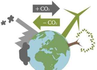 Critique of 38. BImSchV Amendment by Bioenergy Industry: THG-Quote news-24102024-060138