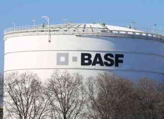 BASF Expands Production Operations: What You Need to Know news-27102024-131101
