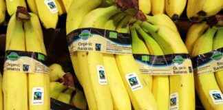 Swedish Minister Explains Banana Phobia: What Happened? news-17112024-065150