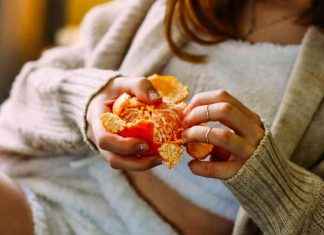 Mandarine vs. Clementine: How to Tell the Difference news-26112024-230106