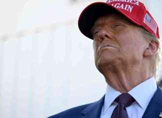 Threats Against Multiple Members of the Trump Team: Understanding and Addressing the Issue news-28112024-051501