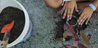 Mit Agrarökologie der Klimakrise entgegentreten: Nachhaltige Lösungen für die Landwirtschaft news-30112024-114245