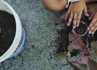 Mit Agrarökologie der Klimakrise entgegentreten: Nachhaltige Lösungen für die Landwirtschaft news-30112024-114245